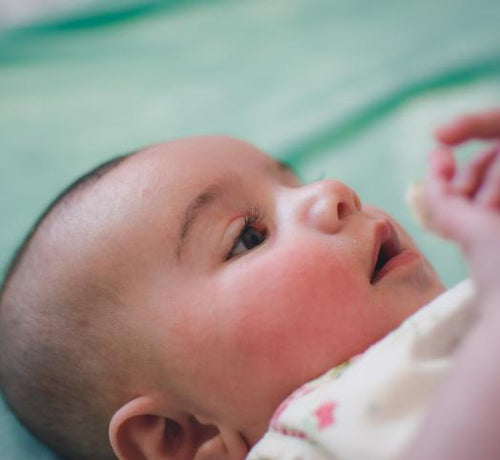 zaya-odeesho-UTQCVuwfwbo-unsplash - Mustela Multi-market - 1